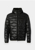 BLAUER